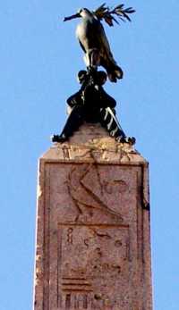 The pigeon on the top of obelisk